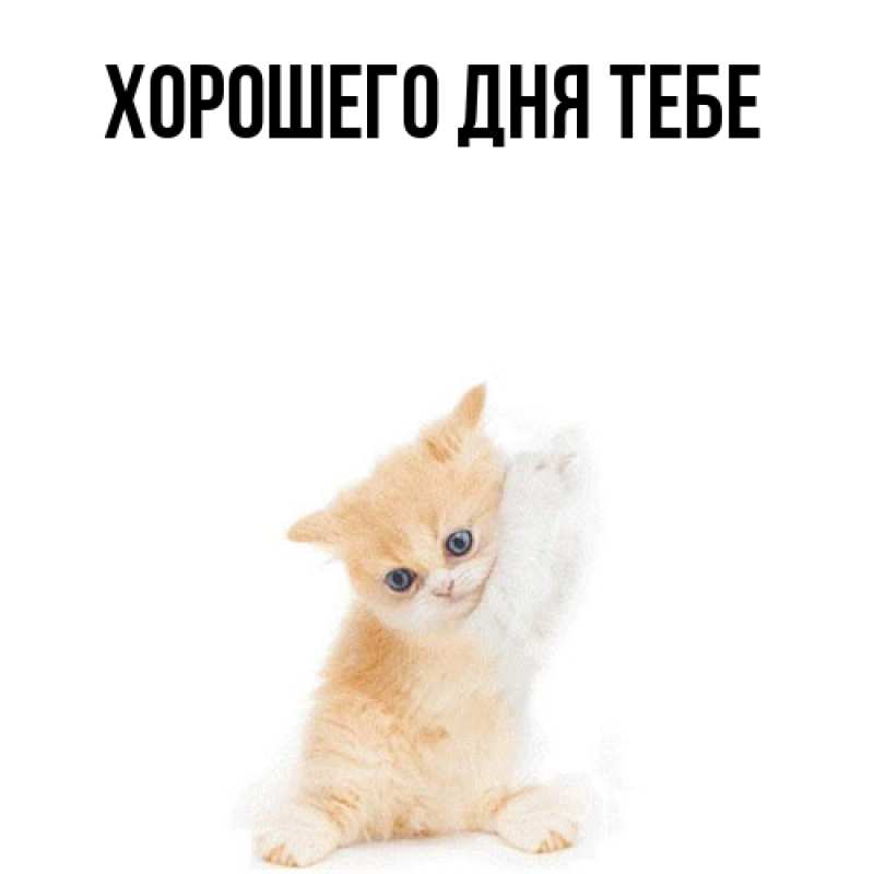 Открытка с именем, Стивен, Я жду тебя