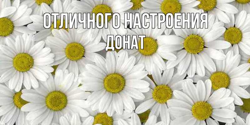 Картинка Отличного настроения, Донат