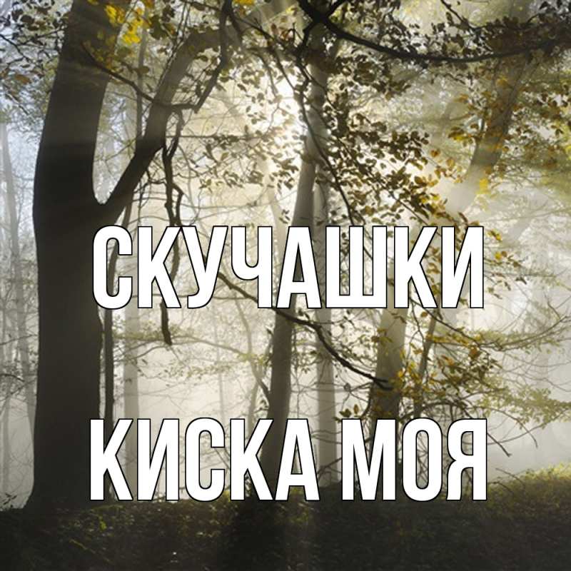 Картинка Скучашки, Киска моя