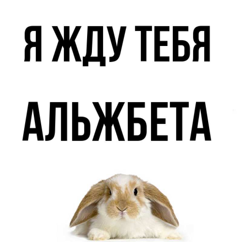 Картинка Я жду тебя, Альжбета
