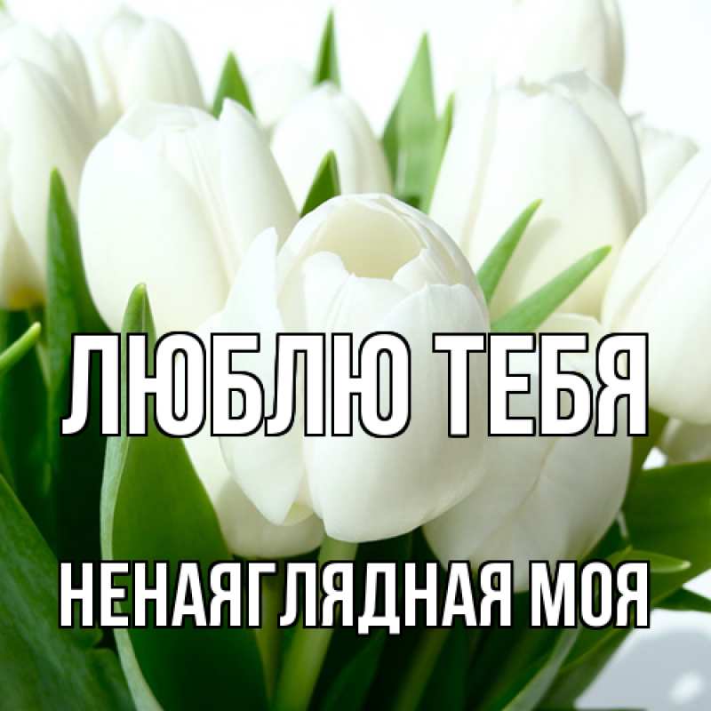 Картинка Люблю тебя, Ненаяглядная моя
