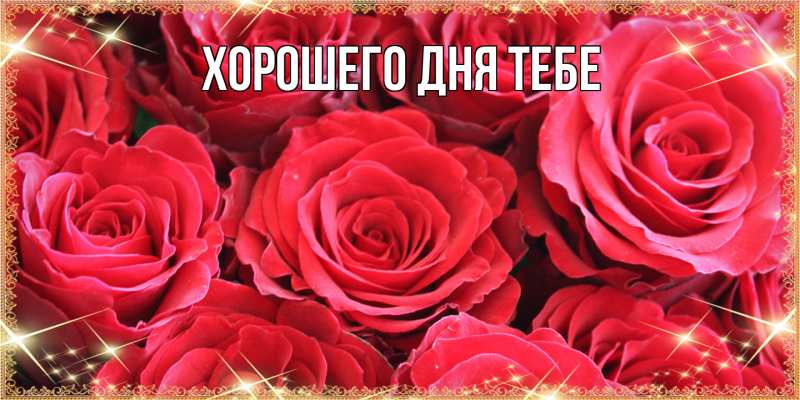 Картинка Люблю тебя, Исидор