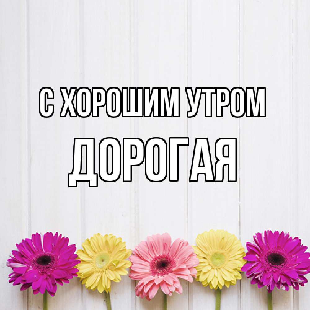 Открытка на каждый день с именем, Дорогая С хорошим утром красный желтый и розовый цветок Прикольная открытка с пожеланием онлайн скачать бесплатно 