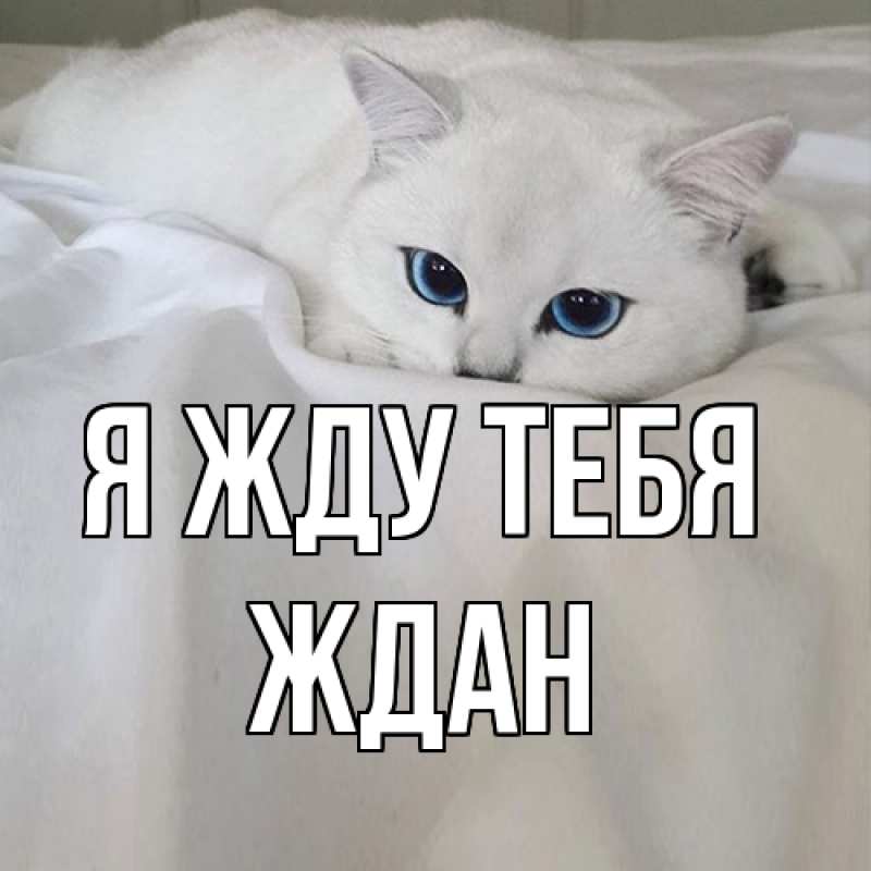 Открытка с именем, Ждан, Я жду тебя