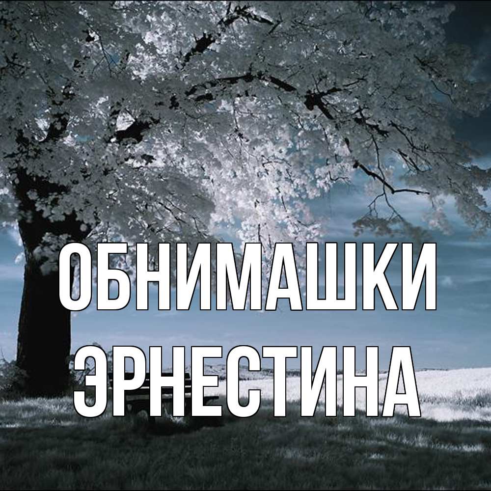 Открытка на каждый день с именем, Эрнестина Обнимашки дерево Прикольная открытка с пожеланием онлайн скачать бесплатно 