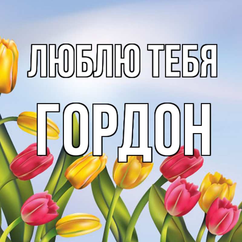Картинка Люблю тебя, Гордон