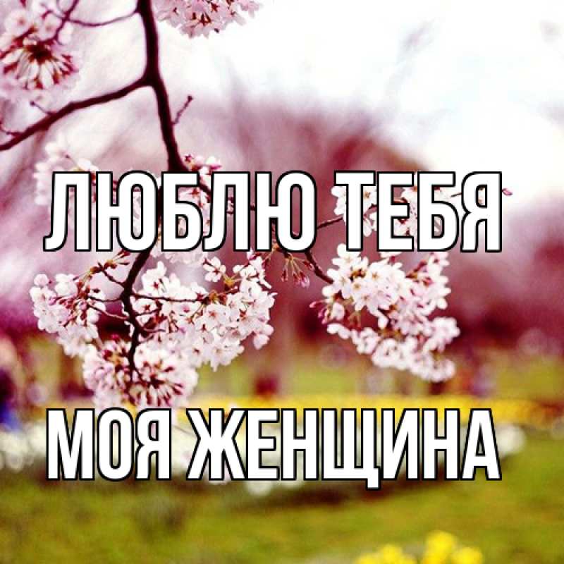 Картинка Люблю тебя, Моя женщина