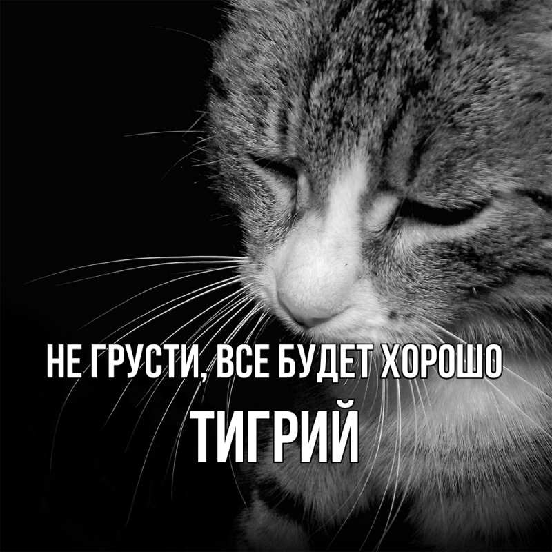 Открытка с именем, Тигрий, Не грусти, все будет хорошо