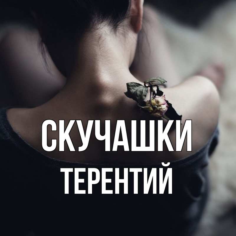 Картинка Скучашки, Терентий