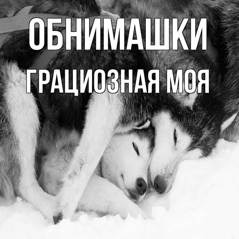 Картинка Обнимашки, Грациозная моя