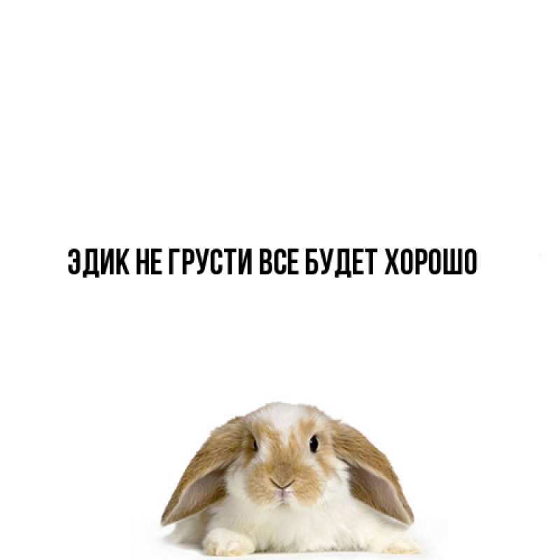 Картинка Не грусти, все будет хорошо, Эдик