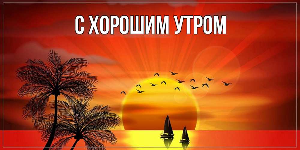 Открытка на каждый день с именем, Вилора Как дела привет Прикольная открытка с пожеланием онлайн скачать бесплатно 