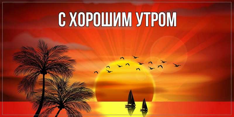 Картинка Как дела, Вилора