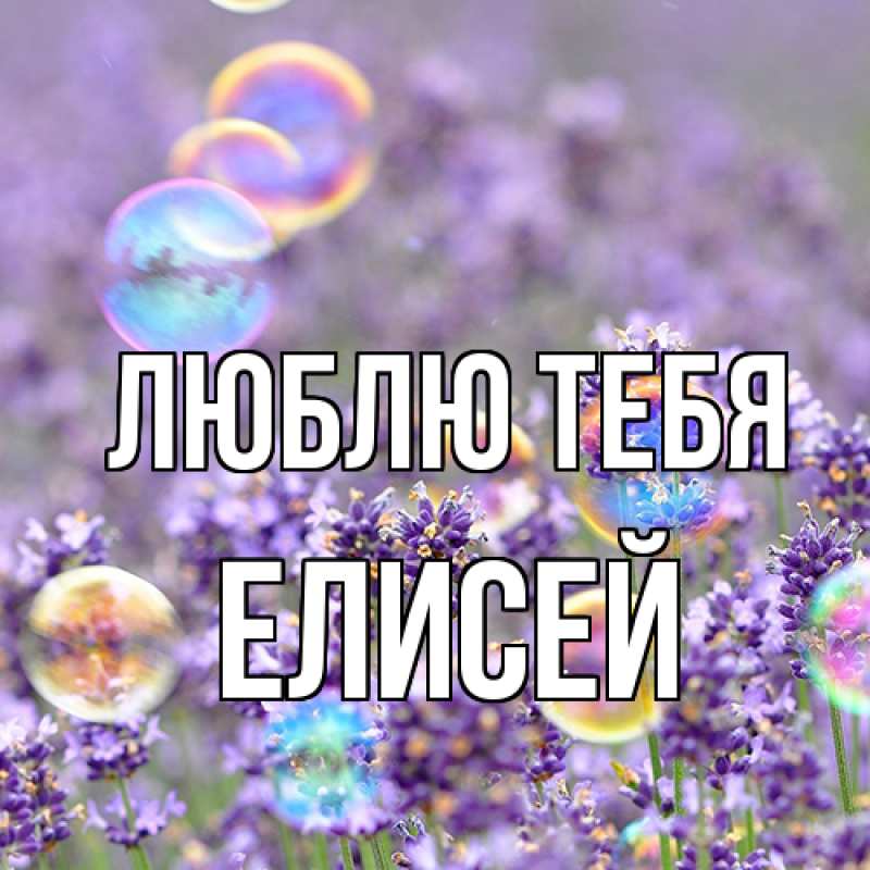 Открытка с именем, Елисей, Люблю тебя