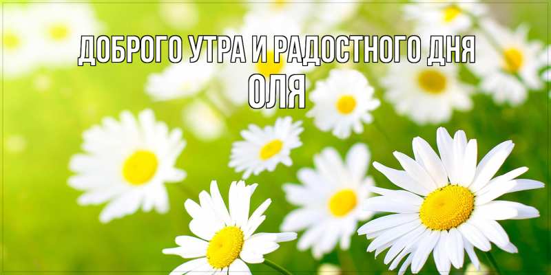 Картинка Доброго утра и радостного дня, Оля