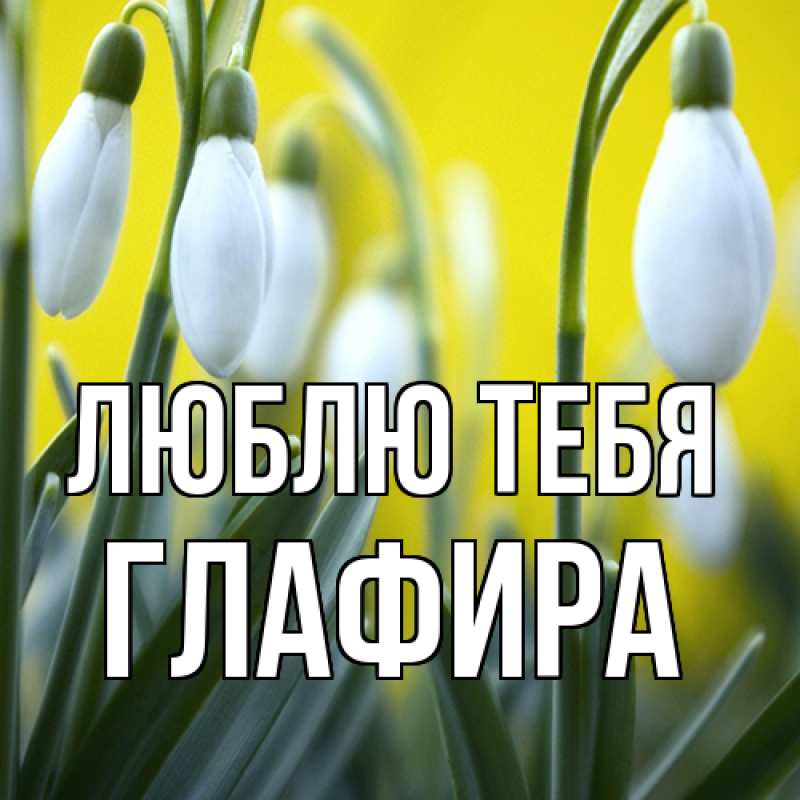 Картинка Люблю тебя, Глафира