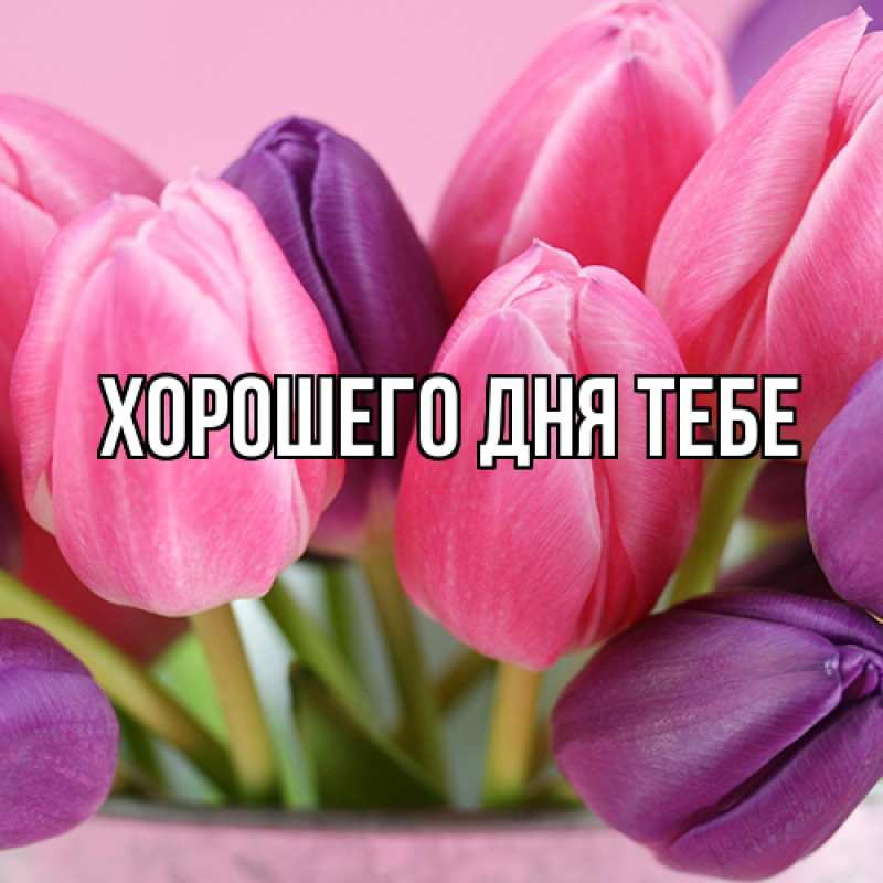 Картинка Люблю тебя, Гордей