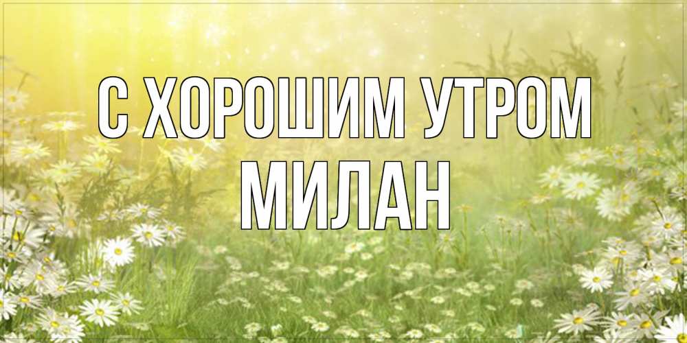 Открытка на каждый день с именем, Милан С хорошим утром доброе утро Прикольная открытка с пожеланием онлайн скачать бесплатно 