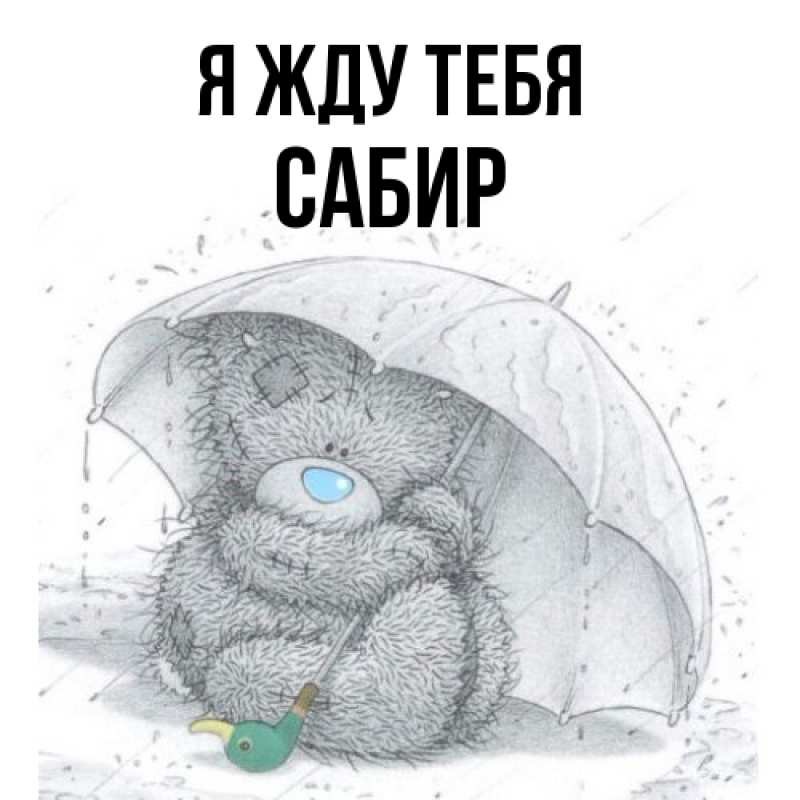 Картинка Я жду тебя, Сабир