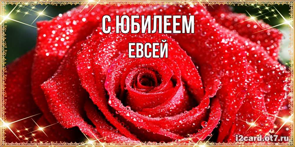 Открытка на каждый день с именем, Евсей C юбилеем роса и роза. открытка с красивой розой Прикольная открытка с пожеланием онлайн скачать бесплатно 