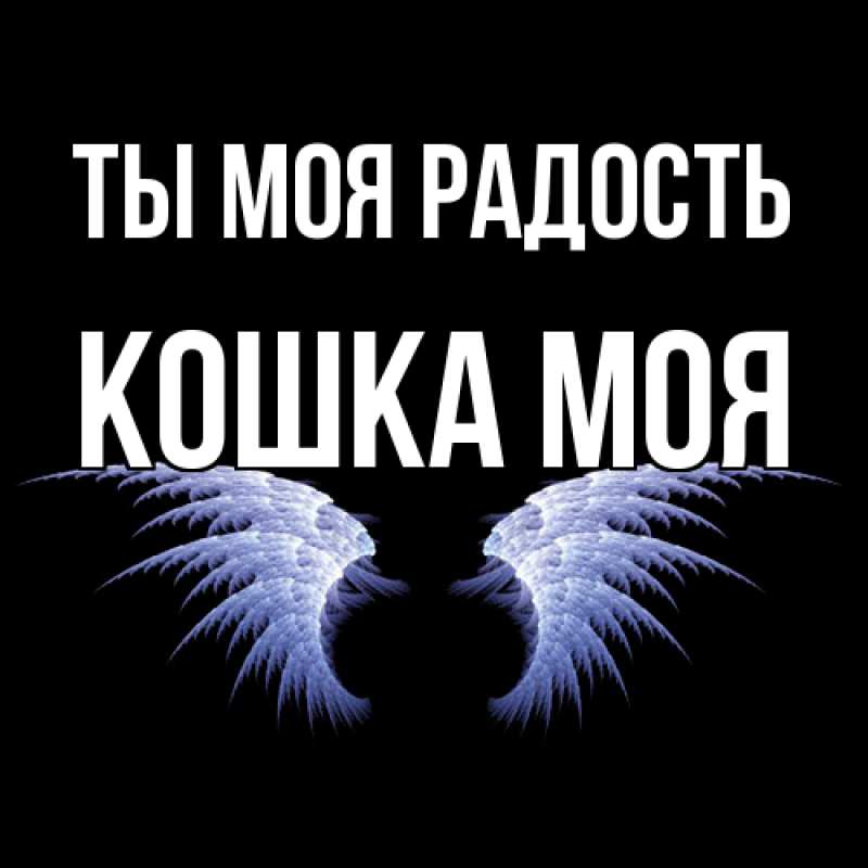 Картинка Ты моя радость, Кошка моя