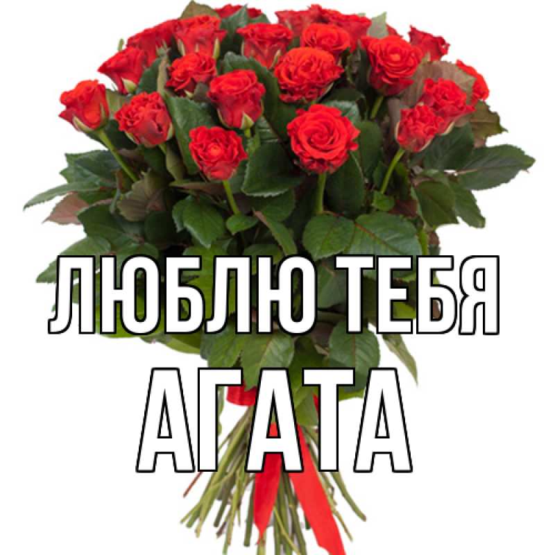Картинка Люблю тебя, Агата