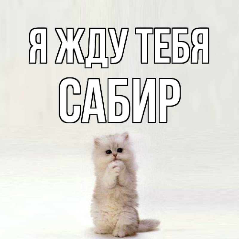 Картинка Я жду тебя, Сабир