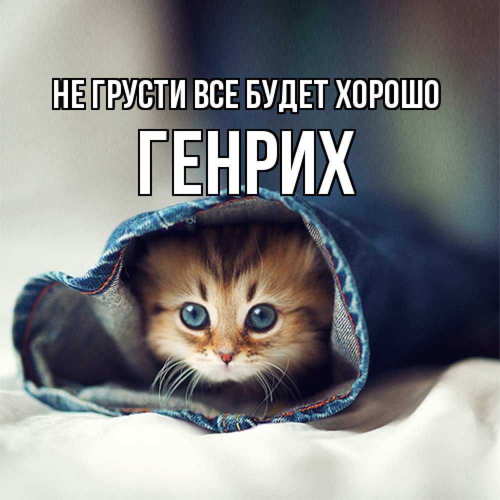 Открытка на каждый день с именем, Генрих Не грусти все будет хорошо кот в одежде Прикольная открытка с пожеланием онлайн скачать бесплатно 