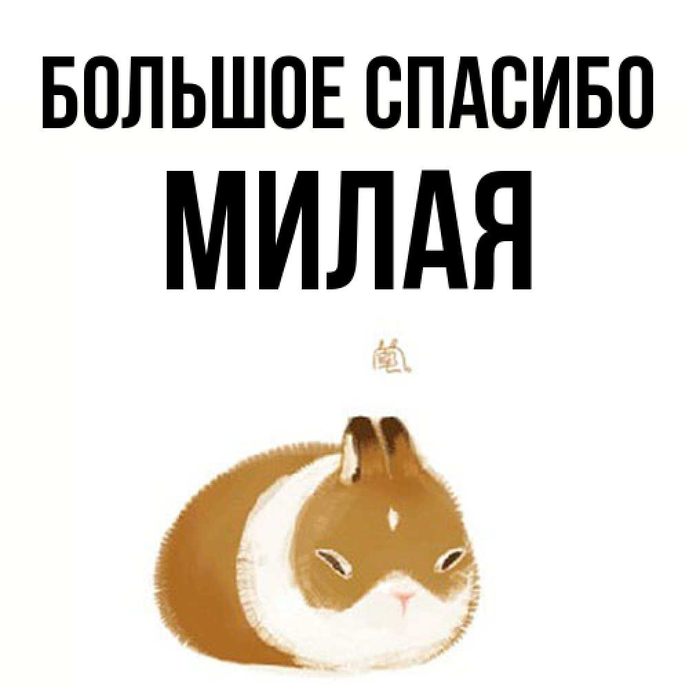 Открытка на каждый день с именем, Милая Большое спасибо коричнево белый домашний питомец Прикольная открытка с пожеланием онлайн скачать бесплатно 
