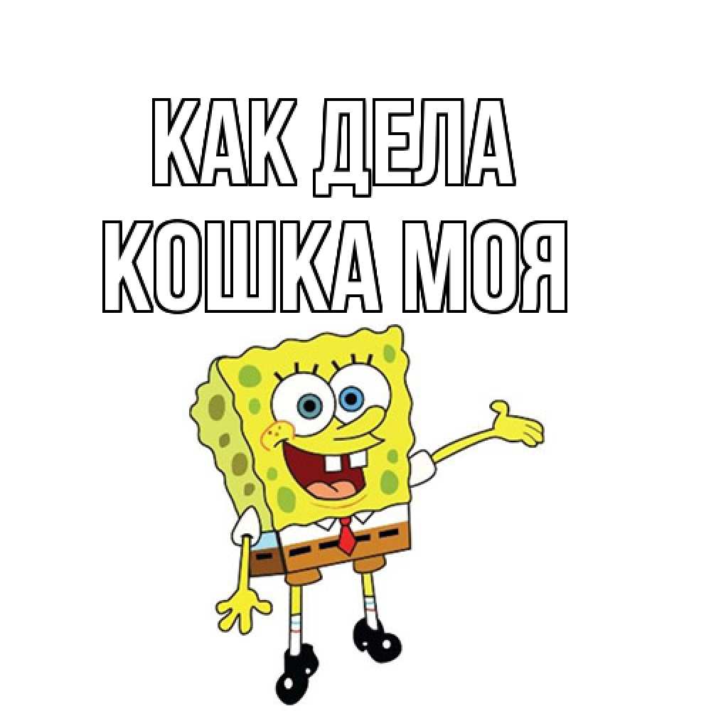 Открытка на каждый день с именем, Кошка-моя Как дела спанч Боб на позитиве Прикольная открытка с пожеланием онлайн скачать бесплатно 