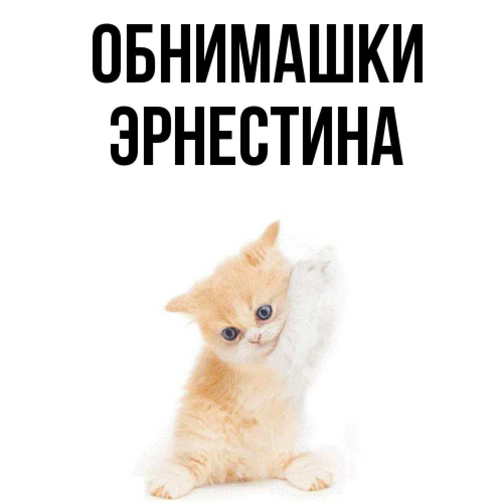 Открытка на каждый день с именем, Эрнестина Обнимашки я хочу очень скорее обнимаешек Прикольная открытка с пожеланием онлайн скачать бесплатно 