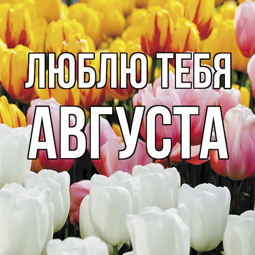 Открытка на каждый день с именем, Августа Люблю тебя разноцветные цветы Прикольная открытка с пожеланием онлайн скачать бесплатно 