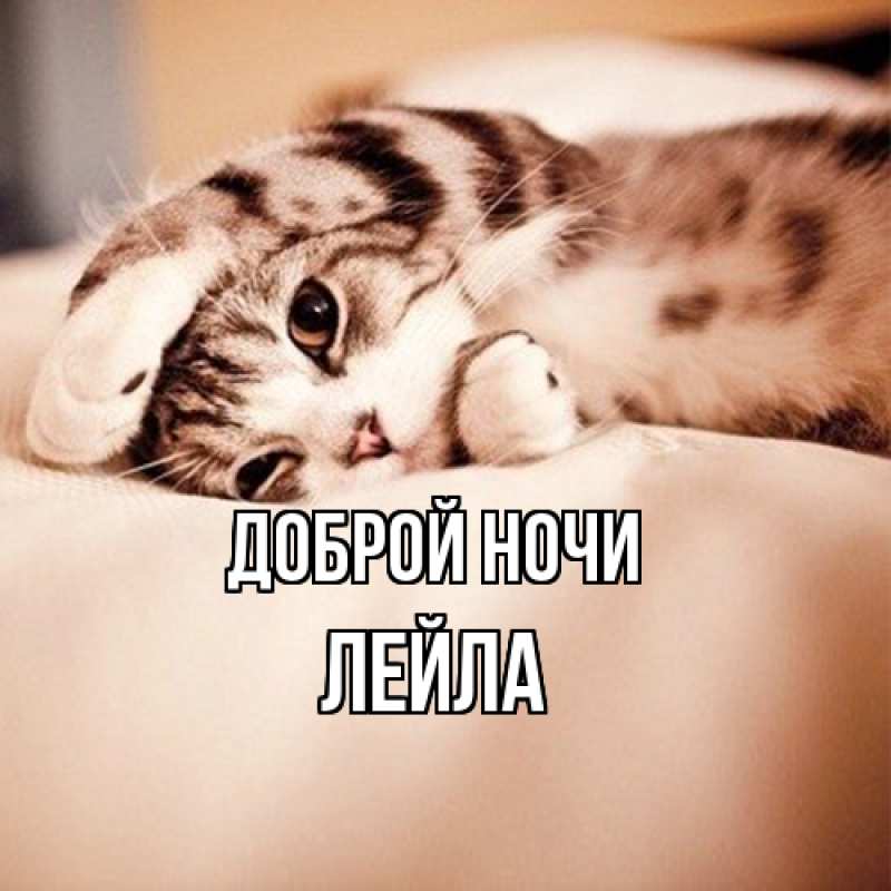 Картинка Доброй ночи, Лейла