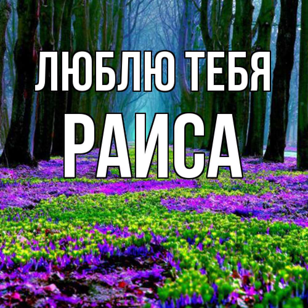 Открытка на каждый день с именем, Раиса Люблю тебя фиолетовые цветы в лесу 1 Прикольная открытка с пожеланием онлайн скачать бесплатно 