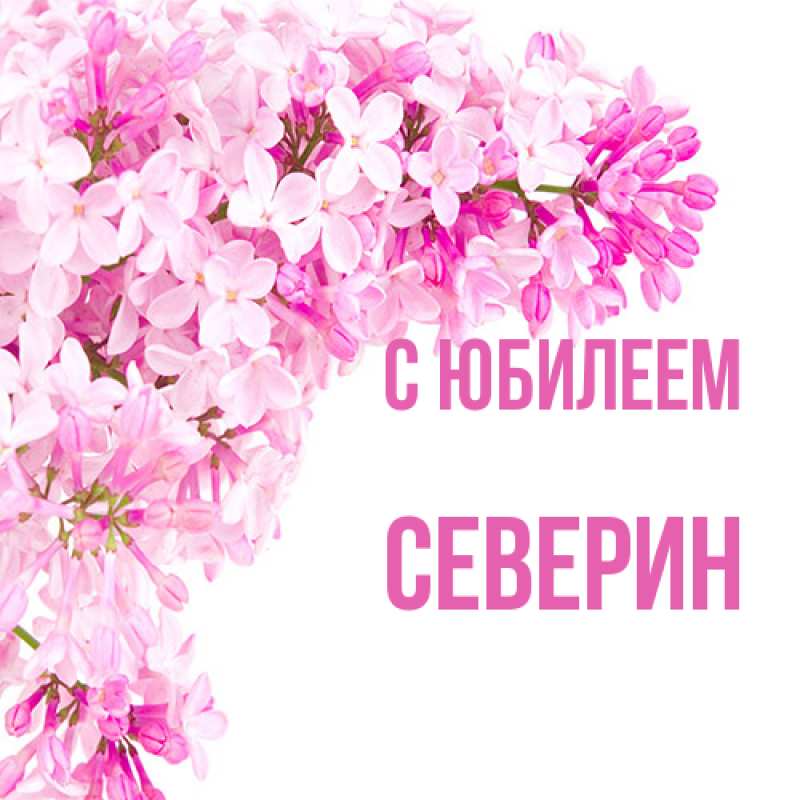 Открытка с именем, Северин, C юбилеем