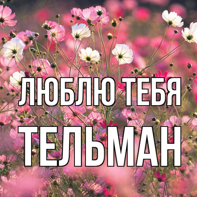 Картинка Люблю тебя, Тельман