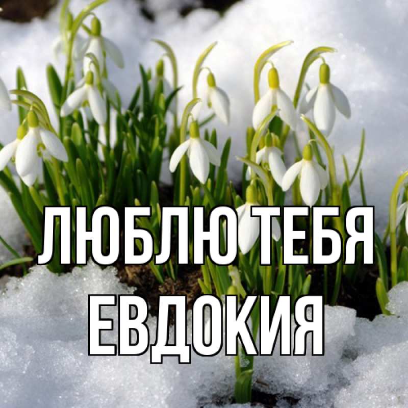 Картинка Люблю тебя, Евдокия