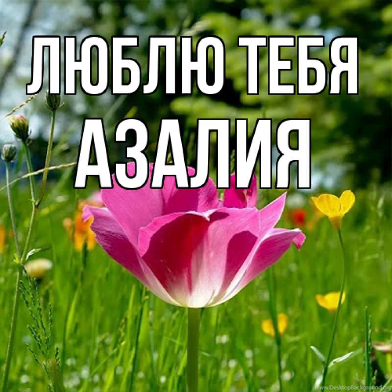 Открытка с именем, Азалия, Люблю тебя
