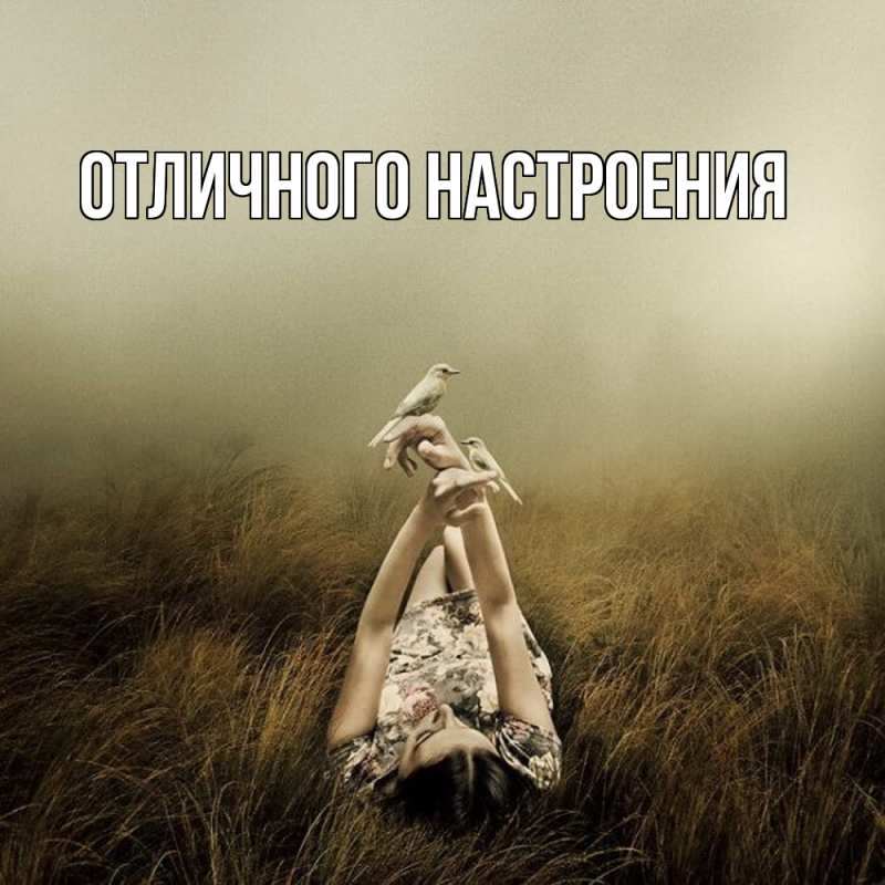 Картинка Скучашки, Песподобная