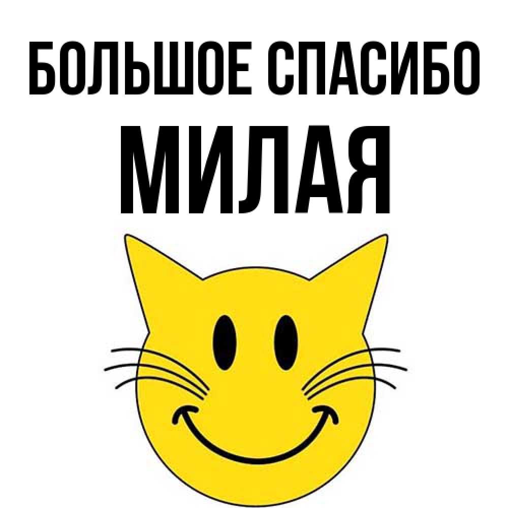 Открытка на каждый день с именем, Милая Большое спасибо улыбающийся смайл кот Прикольная открытка с пожеланием онлайн скачать бесплатно 