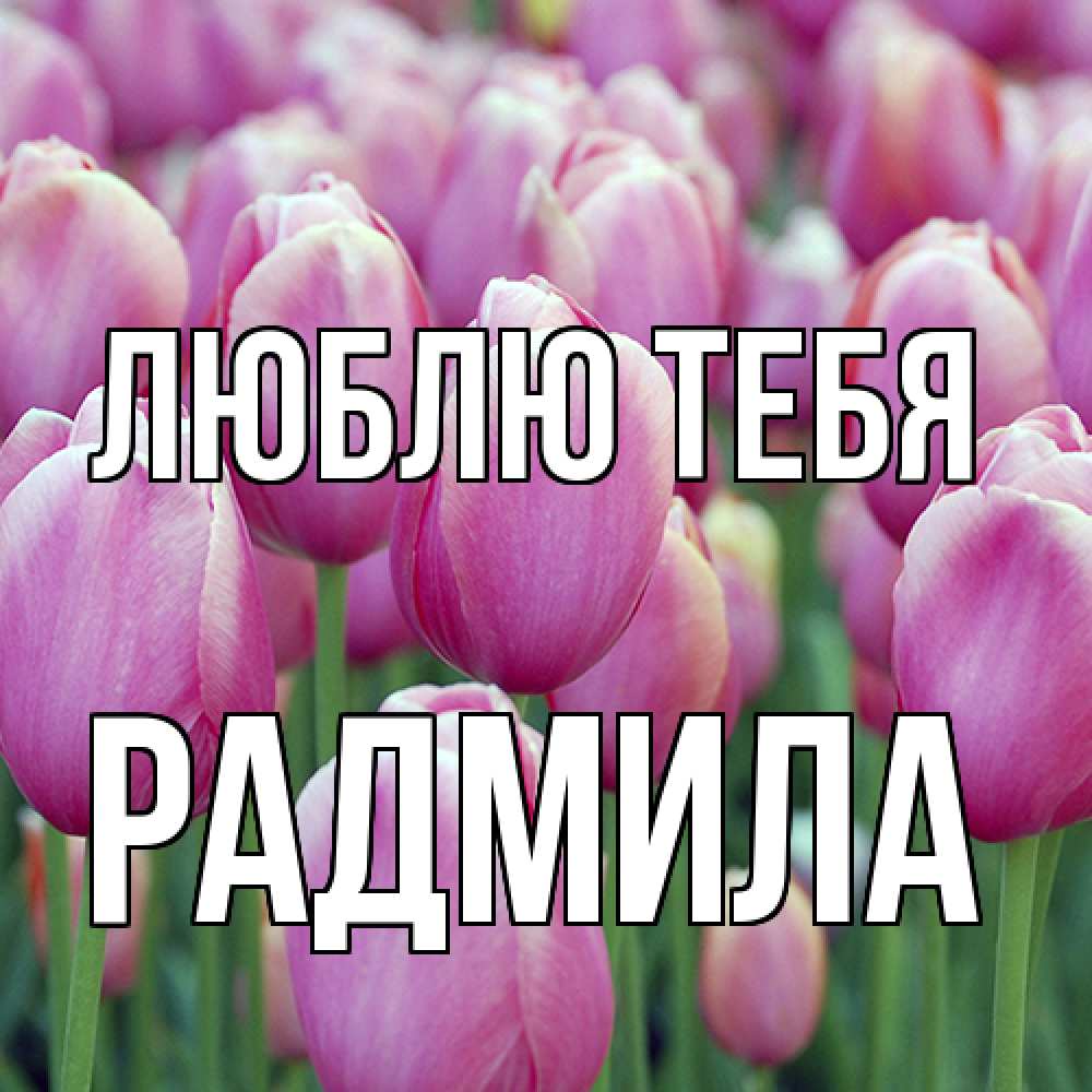 Открытка на каждый день с именем, Радмила Люблю тебя на международный женский день 3 Прикольная открытка с пожеланием онлайн скачать бесплатно 