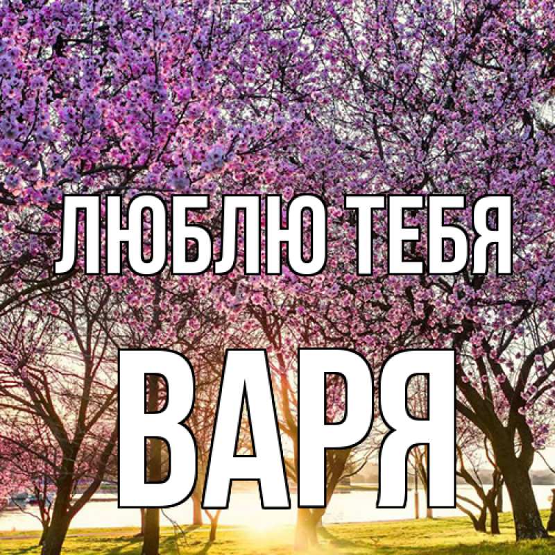 Картинка Люблю тебя, Варя