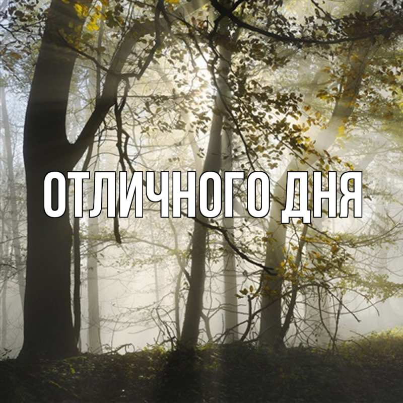 Картинка Скучашки, Алия