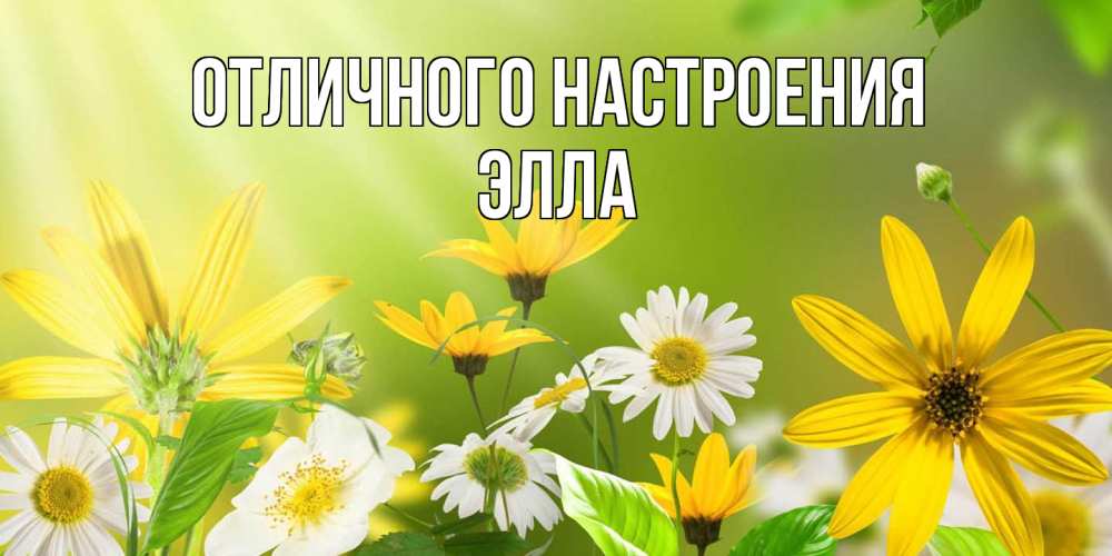Открытка на каждый день с именем, Элла Отличного настроения цветы Прикольная открытка с пожеланием онлайн скачать бесплатно 