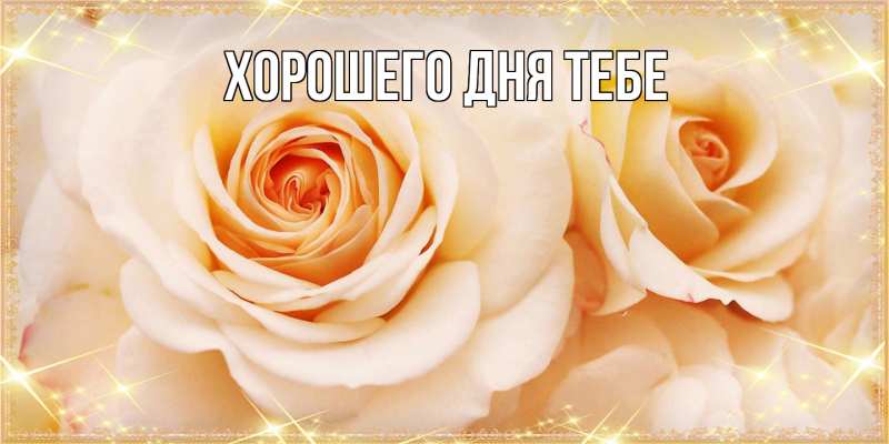 Картинка Люблю тебя, Гордон