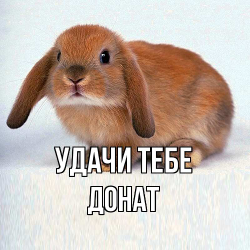 Картинка Удачи тебе, Донат