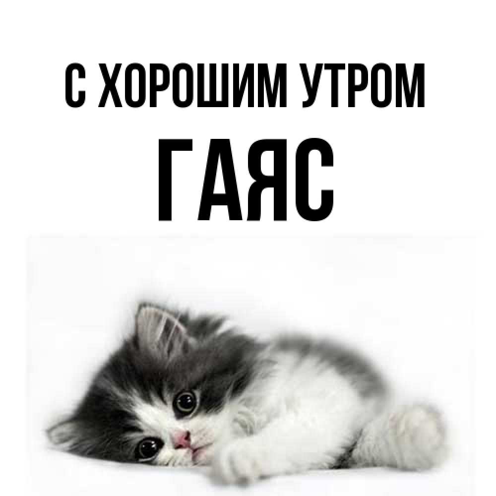 Открытка на каждый день с именем, Гаяс С хорошим утром кот лапки Прикольная открытка с пожеланием онлайн скачать бесплатно 