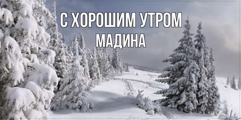 Картинка С хорошим утром, Мадина