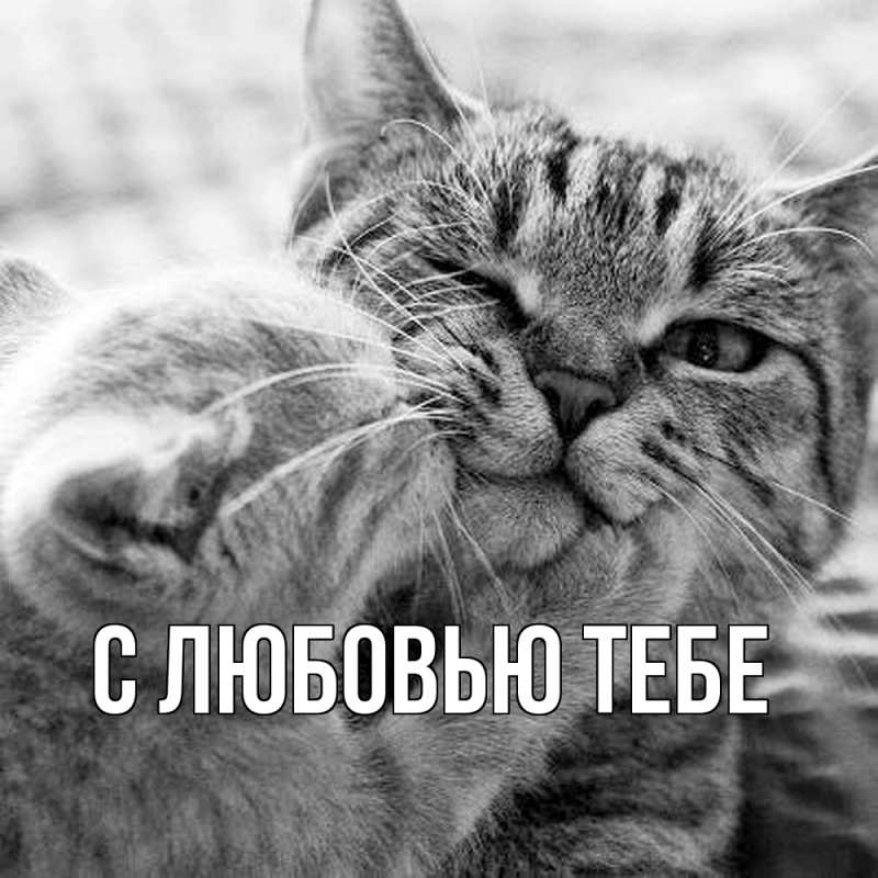 Картинка С любовью тебе, 