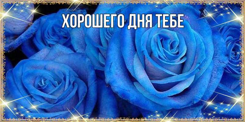 Картинка Люблю тебя, Сократ